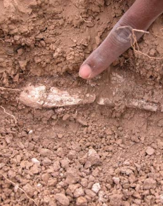 Département d’Histoire et Archéologie