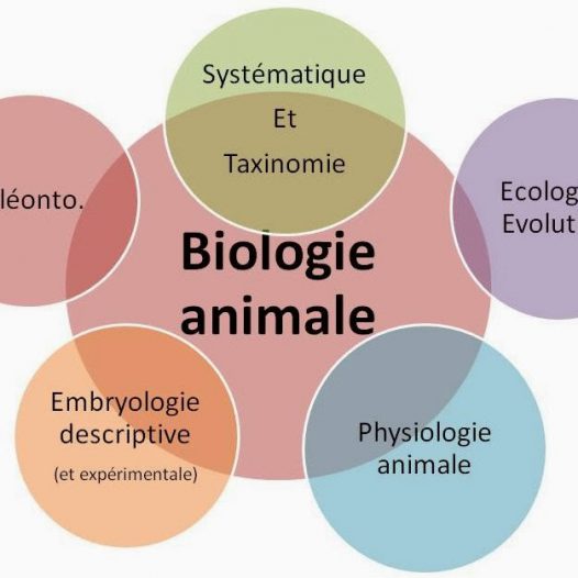 Département de Biologie Animale et Physiologie Animale