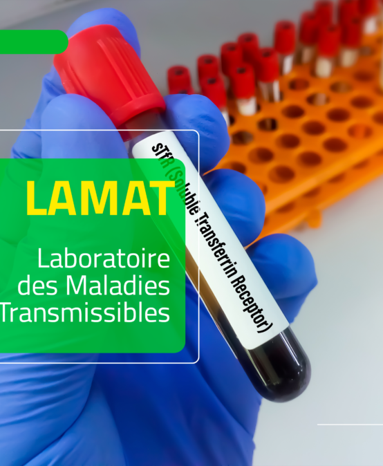 labo_lamat